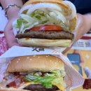 (주)티젤바이오 이미지