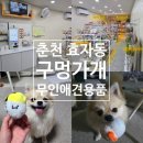 꿀멍꿀멍 | 춘천 24시 무인애견용품 &lt;구멍가개&gt; 구석구석 탐방기 (with 양갱) 멍초밥, 견묘양품 꿀고구마 후기