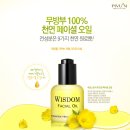 에코위즈덤