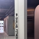 배곧3 | 시흥 배곧 헬스장 추천 샤랩피트니스 3개월 이용 후기 PT 주차