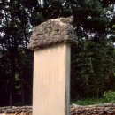 순천-43호 이미지