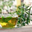 페퍼민트 이미지