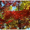 선녀계곡 이미지