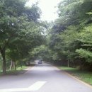 백양사진입로 이미지