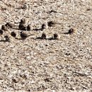 잠실공원 이미지