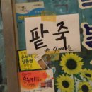 전통팥죽(노점)