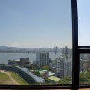 돼지블라썸 이미지