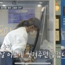 유폴24시 애견셀프목욕 이미지