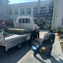 점곡초등학교 이미지