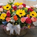 남일약국 이미지