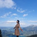 김솔희 카카오 검색결과