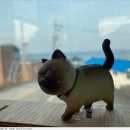 카페덕산 이미지