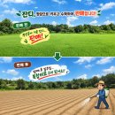 잔디 판매했어요 이미지