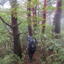 홍점(홍제사입구) 이미지