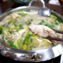 청송 진보 맛집 어림복어 참복 백불고기 샤브 내돈내산 후기