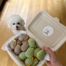 멍멍빵빵 이미지