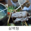 신토불이 이미지