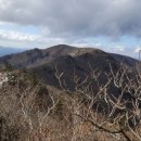 구룡1리 약수 이미지