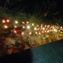 플라워펜션 이미지