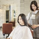 경기도 수원시 팔달구 세지로234번길 네이버블로그