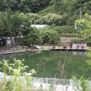 타임스토리펜션 이미지