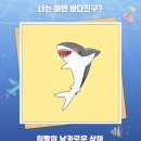 바다친구 이미지