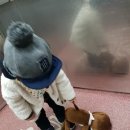 인형의 거리(원숭이 이미지