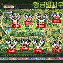 새황금공인중개사사무소 이미지