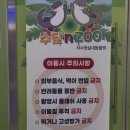 [수원] 실내 데이트 코스로 안성맞춤인 『수달앤쥬』 실내동물원 ( ´͈ ᵕ `͈ )◞♡