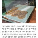 정애쿠키