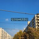 압구정-206 이미지
