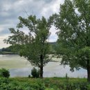 클럽아이리스 이미지