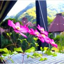 카페느티나무 - 산청군 동의보감로555번길 45-23 | 카페느티나무