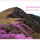 배바우마트 Daum카페