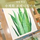 성인수채화 | [대치성인미술]수채화 기초 입문코스 : 보테니컬아트 학생후기