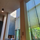 수락골프클럽 | 카스카디아CC 라운딩 후기 (7/11)