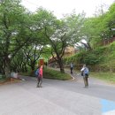 가탄교 위 이미지