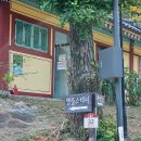 청춘 책방(책 한그릇) | 2026 남양주 봉선사 청춘 템플스테이 3만원 혼자 다녀온 후기 추천 비추천