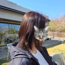 수지미용실 | [신사역 미용실] 코르브헤어 봄맞이 염색 후기 feat. 수지 실장님