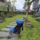 놀멍자멍 민박 이미지