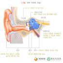 청력의 뚜렷한 장해[60데시벨(청력검사단위) 이상][제6급] 이미지