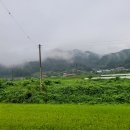 선남면 명인정보고앞-좌 | [우리동네 이야기 속으로] 96. 칠곡군 기산면 각산리 마을