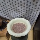 고양이 집사가 되다 이미지