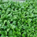 오기농장 이미지