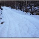 백두목장 이미지