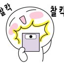 바닐라스킨 이미지