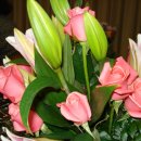 서촌초교 이미지