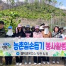 영덕군 보건소 웹이코노미