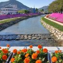 양지천2 이미지