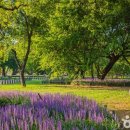 (주)서대전현대서비스 이미지